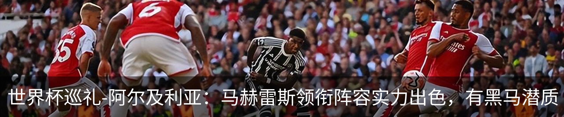 最新动态
